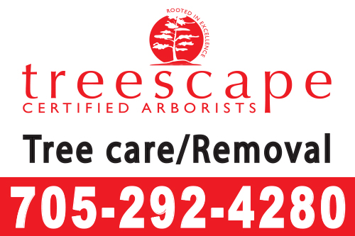 treescape-16x24-yard-sign-705-292-4280-qty75.jpg