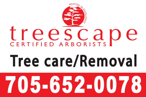 treescape-16x24-yard-sign-705-652-0078-qty100.jpg