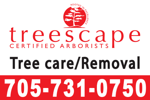 treescape-16x24-yard-sign-705-731-0750-qty100.jpg
