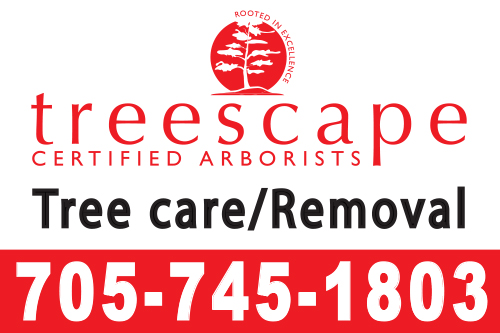 treescape-16x24-yard-sign-705-745-1803-qty125.jpg