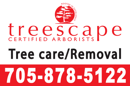 treescape-16x24-yard-sign-705-878-5122-qty100.jpg