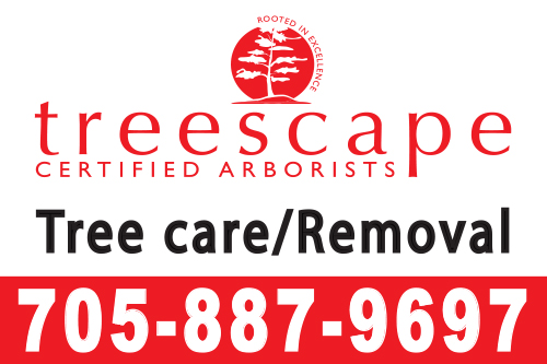 treescape-16x24-yard-sign-705-887-9697-qty100.jpg