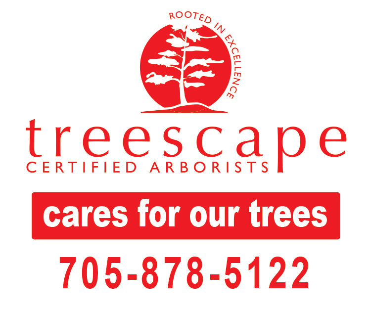 treescape-polybag-sign-24wx20-version-705-878-5122-qty200.jpg